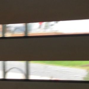 Meet your Posher, Ray